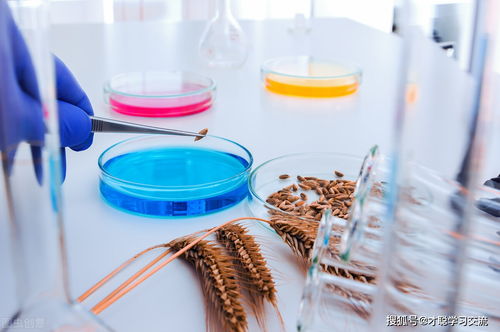2022年上海理工大學(xué)846食品微生物學(xué)考研真題解析與生物學(xué)科備考策略