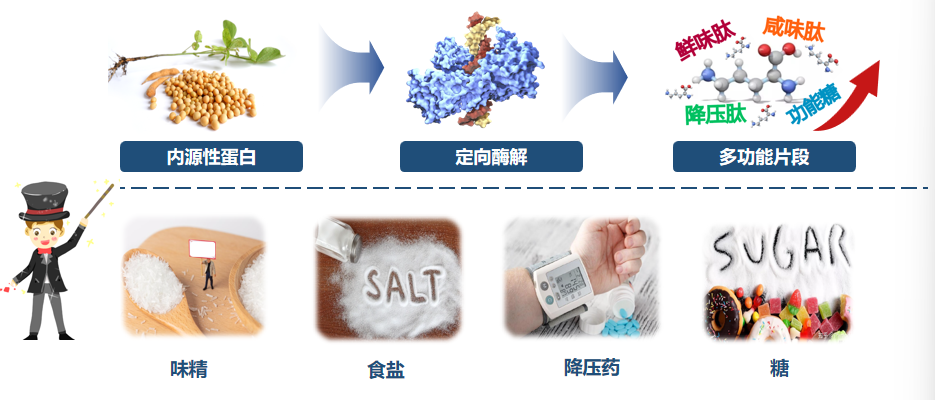 華東師大科技重磅亮相全球技術(shù)轉(zhuǎn)移大會 生物創(chuàng)新引領(lǐng)未來